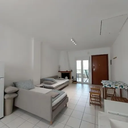 Olive Tree Nikiti (Sithonia)