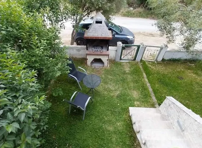 Olive Tree * Nikiti (Sithonia)