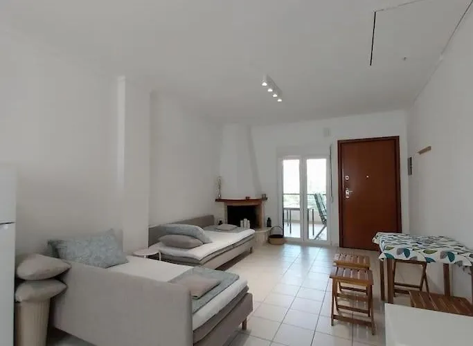 Olive Tree Nikiti (Sithonia)