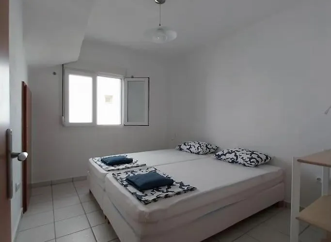 Olive Tree * Nikiti (Sithonia)