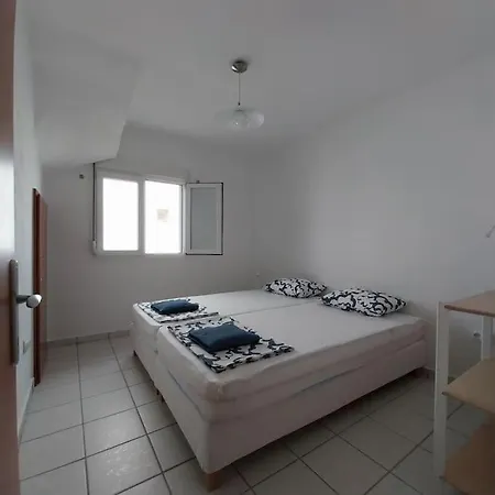 Olive Tree * Nikiti (Sithonia)