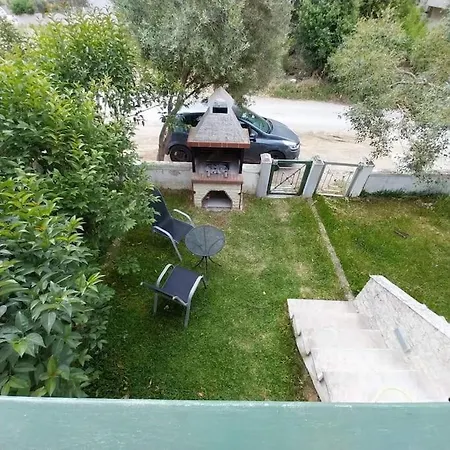 Olive Tree * نيكيتي