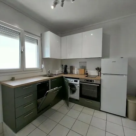 Olive Tree نيكيتي